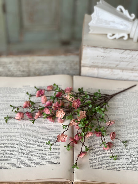 Quince Blooms Bush | 13.5" | NOT CURRENTLY IN STOCK - Spring 2026