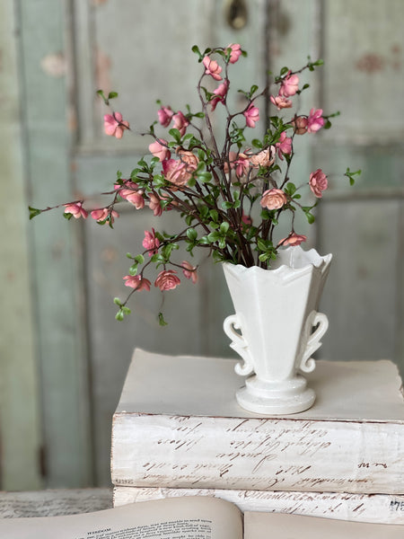 Quince Blooms Bush | 13.5" | NOT CURRENTLY IN STOCK - Spring 2026