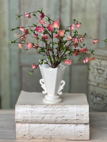 Quince Blooms Bush | 13.5" | NOT CURRENTLY IN STOCK - Spring 2026
