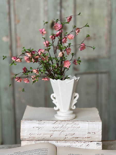 Quince Blooms Bush | 13.5" | NOT CURRENTLY IN STOCK - Spring 2026