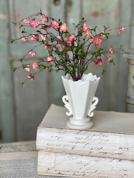 Quince Blooms Bush | 13.5" | NOT CURRENTLY IN STOCK - Spring 2026