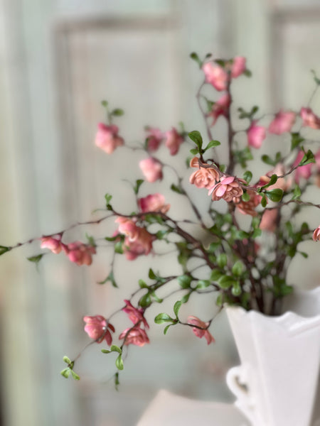 Quince Blooms Bush | 13.5" | NOT CURRENTLY IN STOCK - Spring 2026