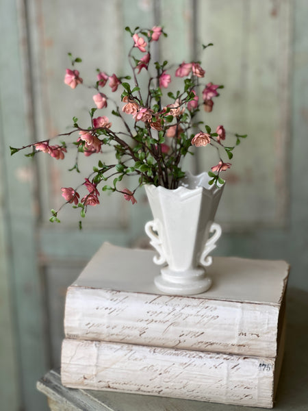 Quince Blooms Bush | 13.5" | NOT CURRENTLY IN STOCK - Spring 2026