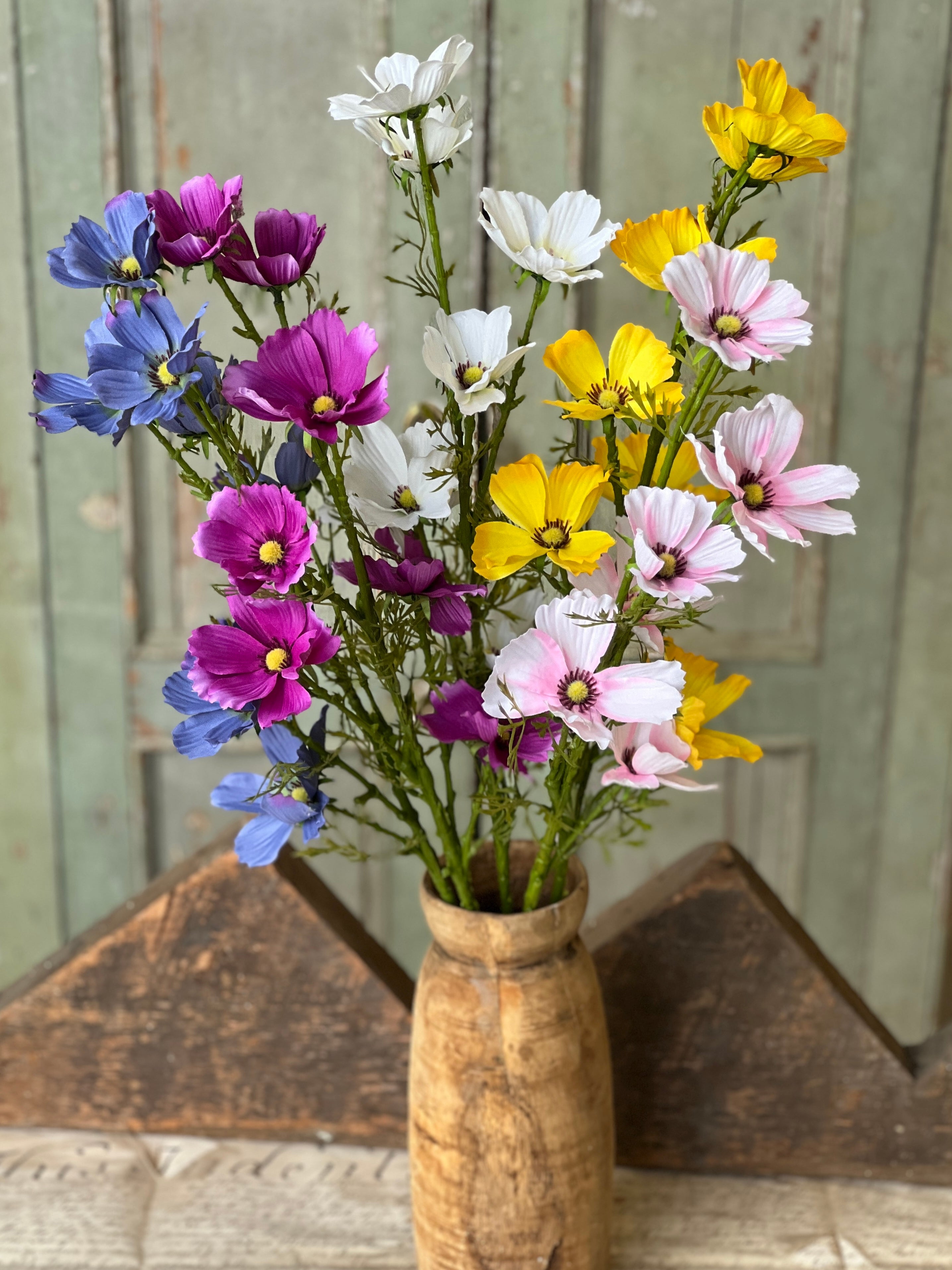 Cockle Cosmos Spray | 27