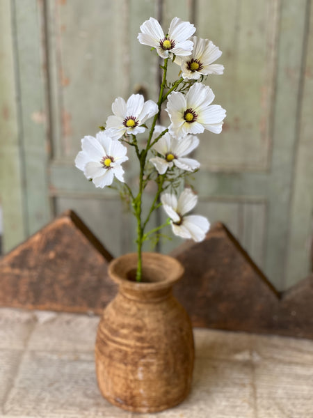 Cockle Cosmos Spray | 27" | Cream | NOT CURRENTLY IN STOCK-New For Spring 2026!