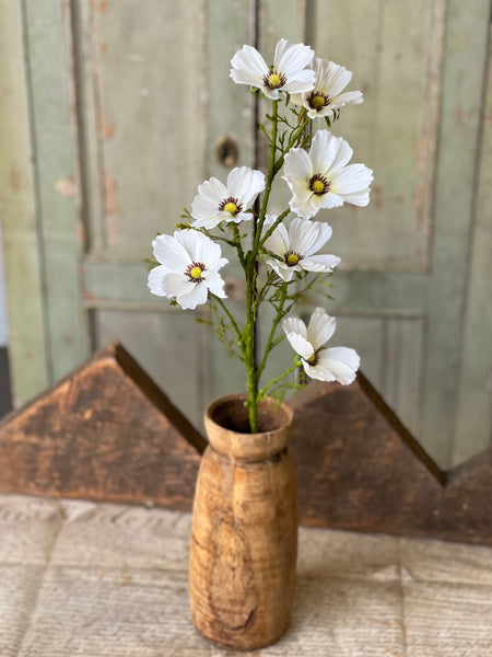 Cockle Cosmos Spray | 27" | Cream | NOT CURRENTLY IN STOCK-New For Spring 2026!