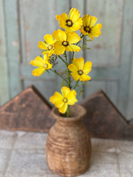 Cockle Cosmos Spray | 27" | Yellow | NOT CURRENTLY IN STOCK-New For Spring 2026!