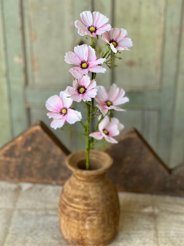 Cockle Cosmos Spray | 27" | Pink | NOT CURRENTLY IN STOCK-New For Spring 2026!