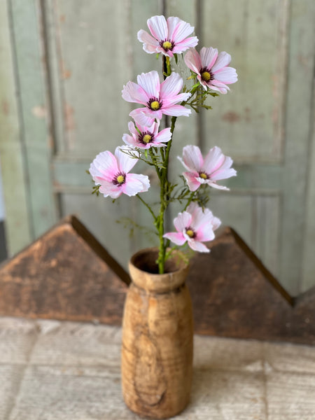 Cockle Cosmos Spray | 27" | Pink | NOT CURRENTLY IN STOCK-New For Spring 2026!
