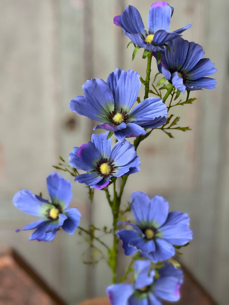 Cockle Cosmos Spray | 27" | Periwinkle | NOT CURRENTLY IN STOCK-New For Spring 2026!