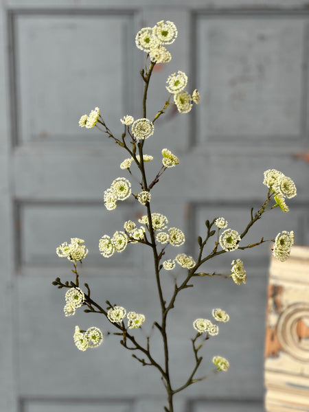 Whirlwind Buds | 38" | Cream | NEW CLEAN UP SPECIAL $2.65 - Last 12pcs!