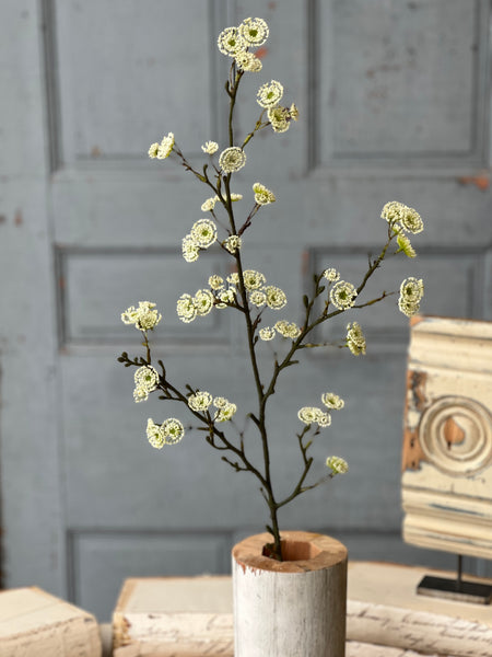 Whirlwind Buds | 38" | Cream | NEW CLEAN UP SPECIAL $2.65 - Last 12pcs!