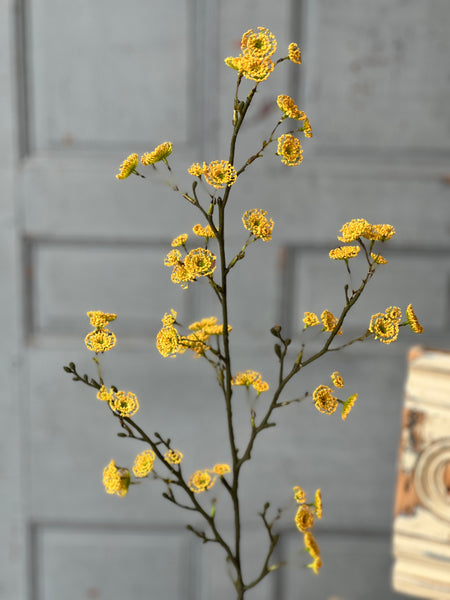 Whirlwind Buds | 38" | Yellow | CLOSEOUT + CLEAN UP SPECIAL!  From $1.95 - Limited Stock - Last 72pcs!