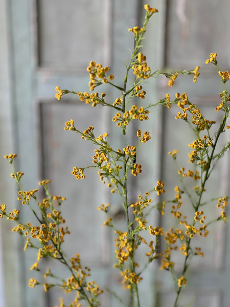 Chelsea Flowers | 46" | Yellow | NOT CURRENTLY IN STOCK-New For Spring 2026!