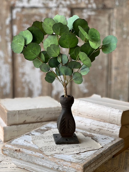 Greenback Eucalyptus Bundle | 16" | NOT CURRENTLY IN STOCK-New For Spring 2026!