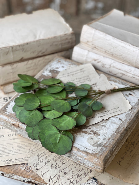 Greenback Eucalyptus Bundle | 16" | NOT CURRENTLY IN STOCK-New For Spring 2026!