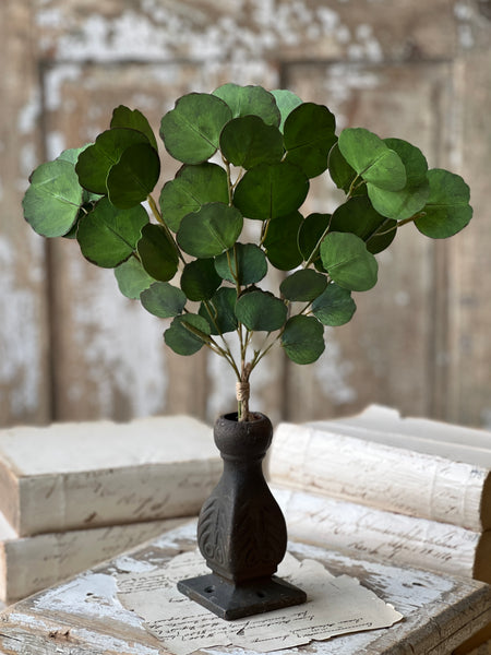 Greenback Eucalyptus Bundle | 16" | NOT CURRENTLY IN STOCK-New For Spring 2026!