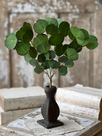 Greenback Eucalyptus Bundle | 16" | NOT CURRENTLY IN STOCK-New For Spring 2026!