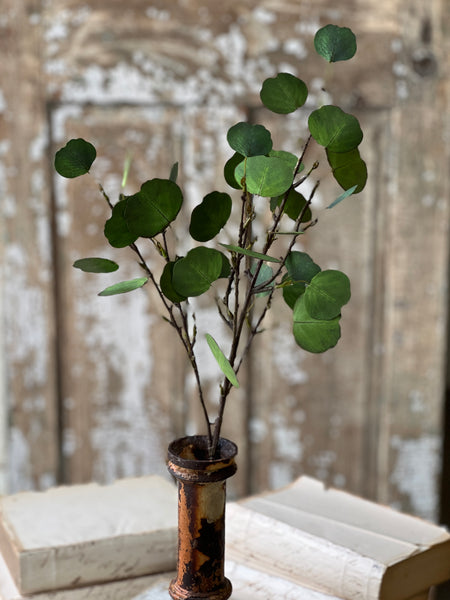 Greenback Eucalyptus Spray | 27" | NOT CURRENTLY IN STOCK-New For Spring 2026!