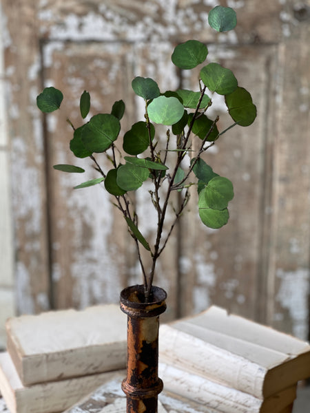 Greenback Eucalyptus Spray | 27" | NOT CURRENTLY IN STOCK-New For Spring 2026!