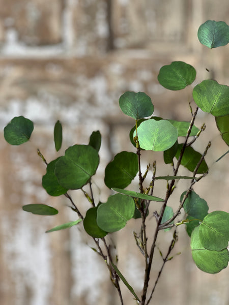Greenback Eucalyptus Spray | 27" | NOT CURRENTLY IN STOCK-New For Spring 2026!
