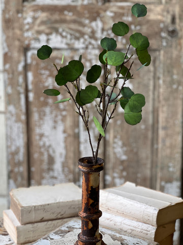 Greenback Eucalyptus Spray | 27" | NOT CURRENTLY IN STOCK-New For Spring 2026!