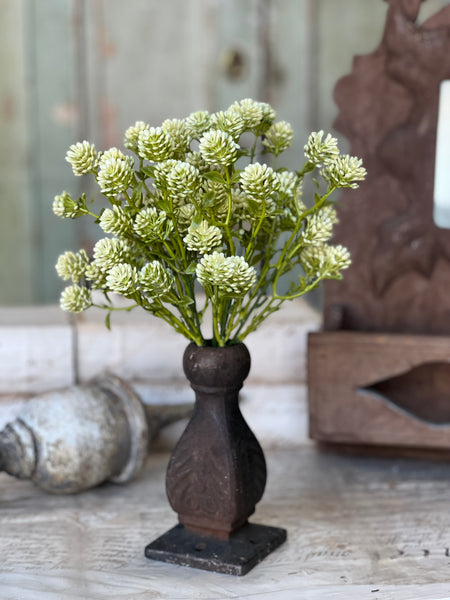 Wil-O-Wisp | 12" | Fresh | NOT CURRENTLY IN STOCK-New For Spring 2026!