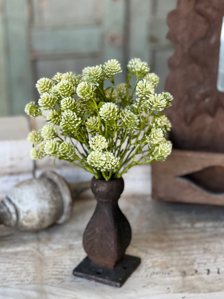 Wil-O-Wisp | 12" | Fresh | NOT CURRENTLY IN STOCK-New For Spring 2026!