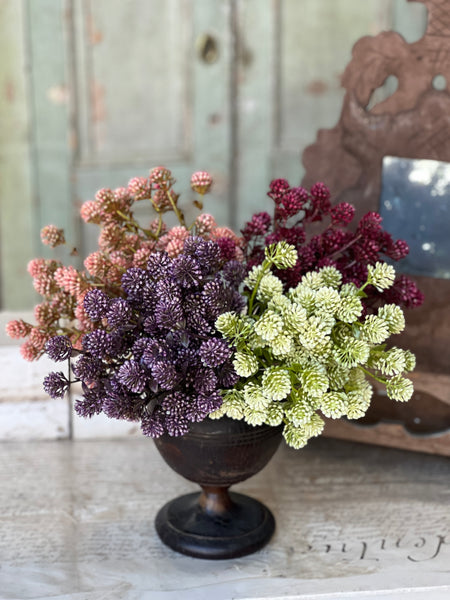 Wil-O-Wisp Bush | 12" | Sangria | NOT CURRENTLY IN STOCK-New For Spring 2026!