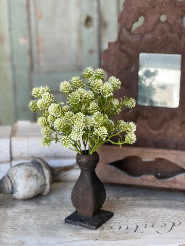 Wil-O-Wisp | 12" | Fresh | NOT CURRENTLY IN STOCK-New For Spring 2026!