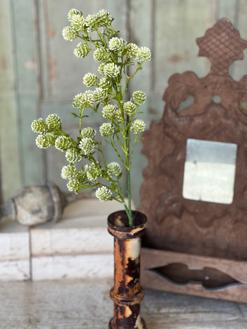 Wil-O-Wisp Spray | 25" | Fresh | NOT CURRENTLY IN STOCK-New For Spring 2026!