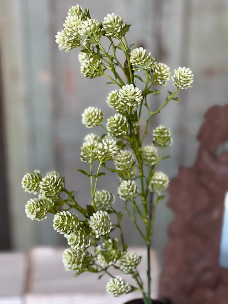 Wil-O-Wisp Spray | 25" | Fresh | NOT CURRENTLY IN STOCK-New For Spring 2026!