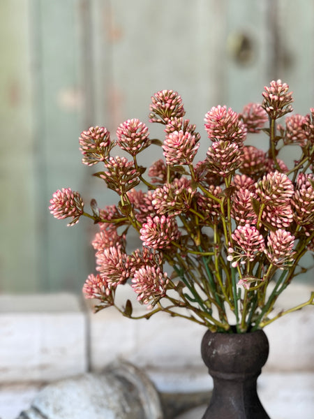 Wil-O-Wisp Bush | 12" | Pink | NOT CURRENTLY IN STOCK-New For Spring 2026!