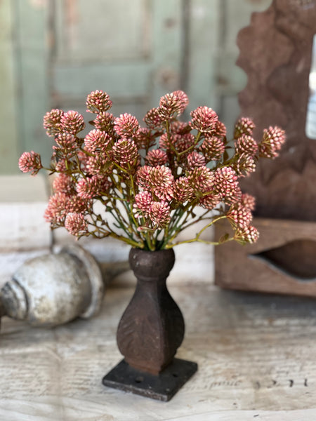 Wil-O-Wisp Bush | 12" | Pink | NOT CURRENTLY IN STOCK-New For Spring 2026!