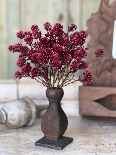 Wil-O-Wisp Bush | 12" | Sangria | NOT CURRENTLY IN STOCK-New For Spring 2026!