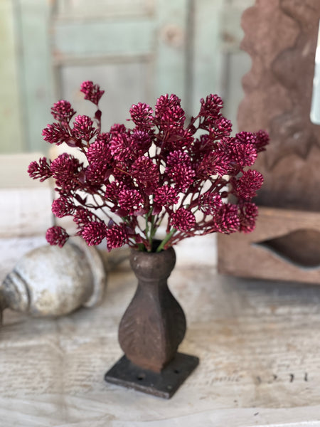 Wil-O-Wisp Bush | 12" | Sangria | NOT CURRENTLY IN STOCK-New For Spring 2026!