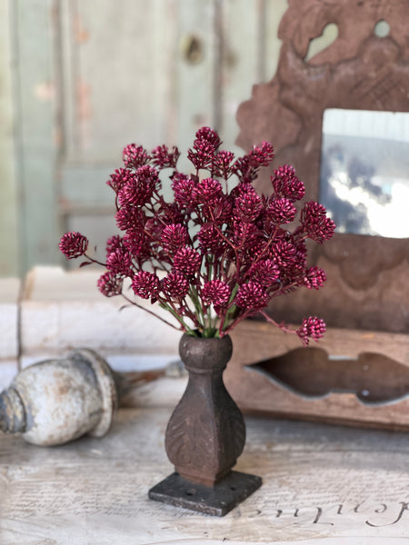 Wil-O-Wisp Bush | 12" | Sangria | NOT CURRENTLY IN STOCK-New For Spring 2026!