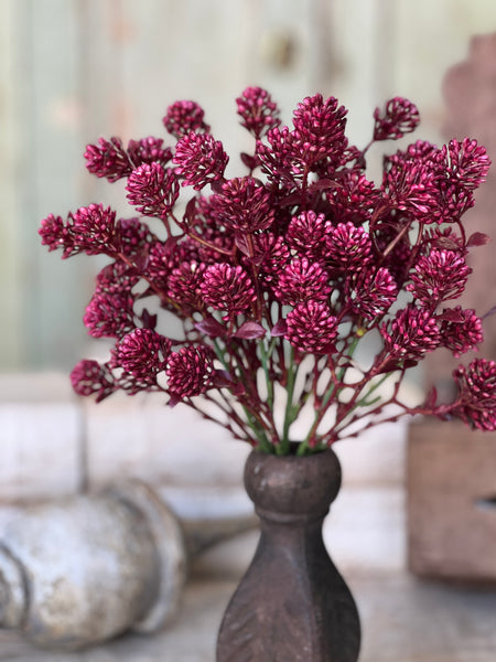 Wil-O-Wisp Bush | 12" | Sangria | NOT CURRENTLY IN STOCK-New For Spring 2026!