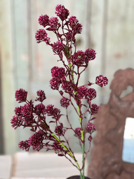 Wil-O-Wisp Spray | 25" | Sangria | NOT CURRENTLY IN STOCK-New For Spring 2026!