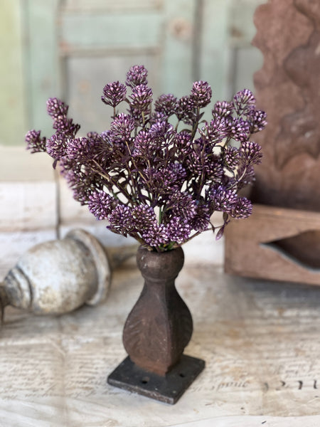 Wil-O-Wisp Bush | 12" | Purple | NOT CURRENTLY IN STOCK-New For Spring 2026!