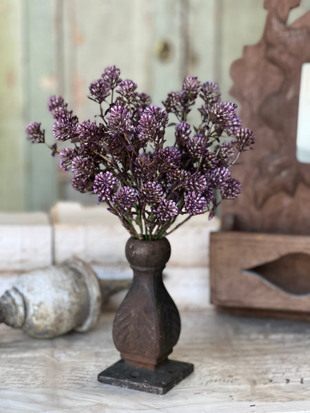 Wil-O-Wisp Bush | 12" | Purple | NOT CURRENTLY IN STOCK-New For Spring 2026!