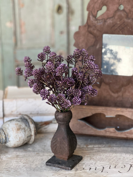 Wil-O-Wisp Bush | 12" | Purple | NOT CURRENTLY IN STOCK-New For Spring 2026!