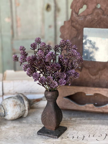 Wil-O-Wisp Bush | 12" | Purple | NOT CURRENTLY IN STOCK-New For Spring 2026!