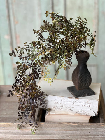 Wayward Shade Hanging | 18" | SOLD OUT