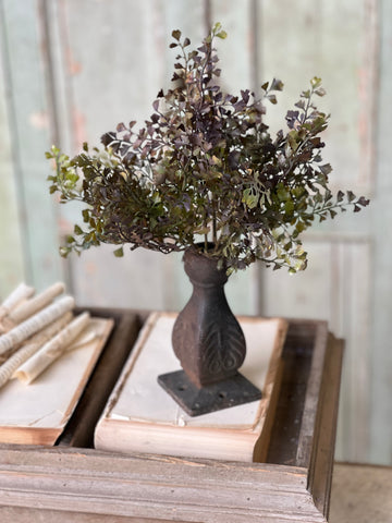 Wayward Shade Bush | 12"