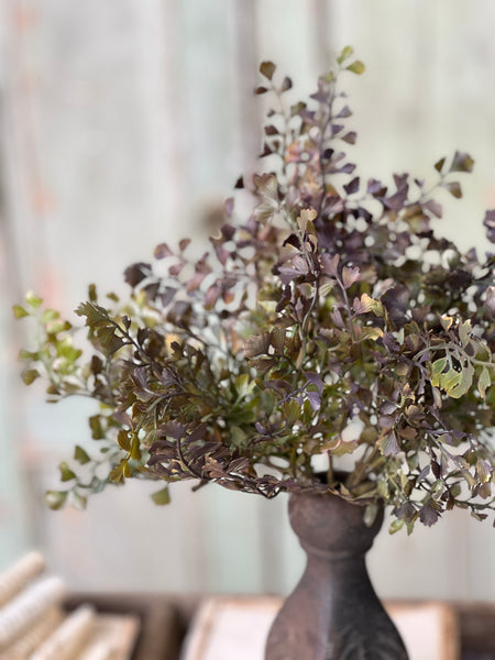 Wayward Shade Bush | 12"