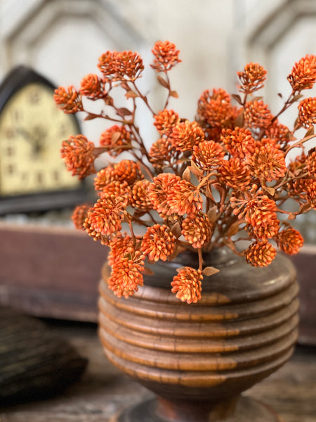 Russet Cone Bush | 12" | Sienna | SOLD OUT