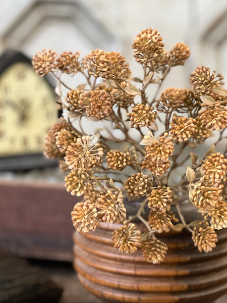 Russet Cone Bush | 12" | Cinnamon | SOLD OUT