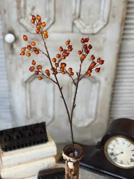 Bitter Berry Spray | 28" | NOT CURRENTLY IN STOCK-New For Holiday 2026!