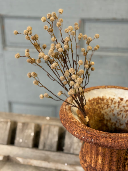 Winged Seeds Bundle | 19" | Fawn | NOT CURRENTLY IN STOCK-New For Holiday 2026!